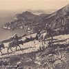 Travelling by Donkey - Dubrovnik